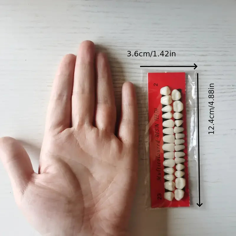 28pcs Dental Training Resin Teeth Model Set, Permanent Denture Practice Kit for Dentistry Technician Education & Teaching Props
