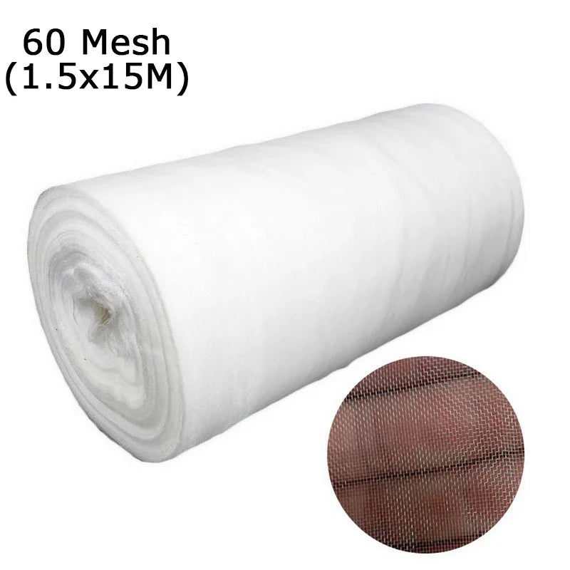 4.86408E+13