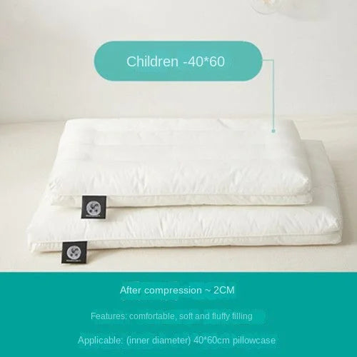 5.02429E+13