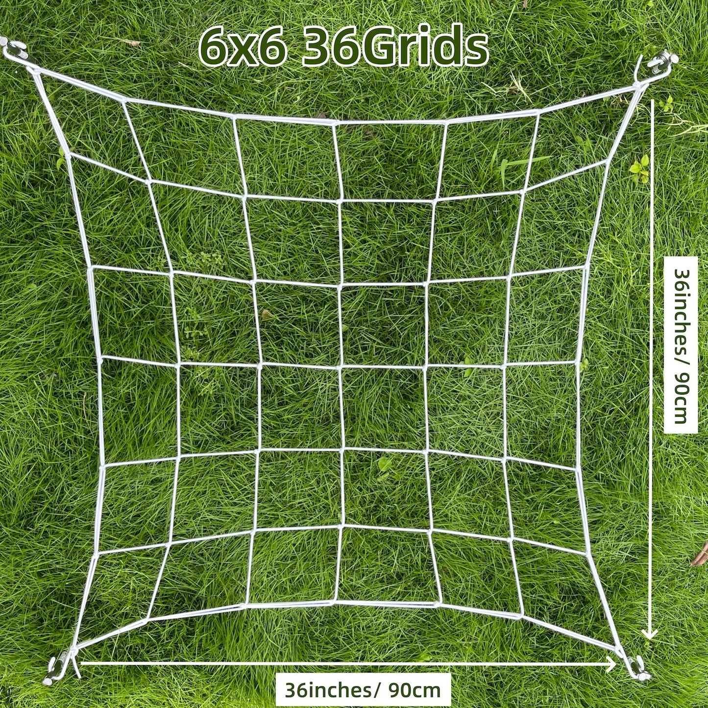 5.03536E+13