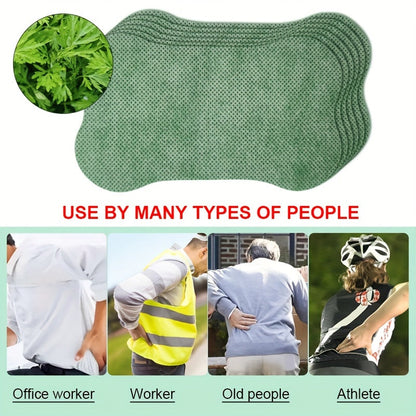 W009 Green Bone Lumbar Spine Patch – Targeted Relief for Lower Back Pain