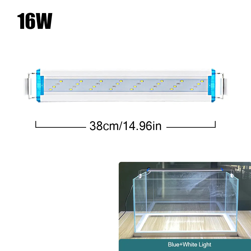 4.81009E+13