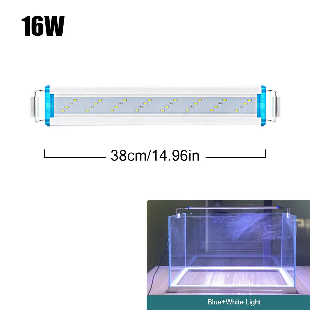 4.81009E+13