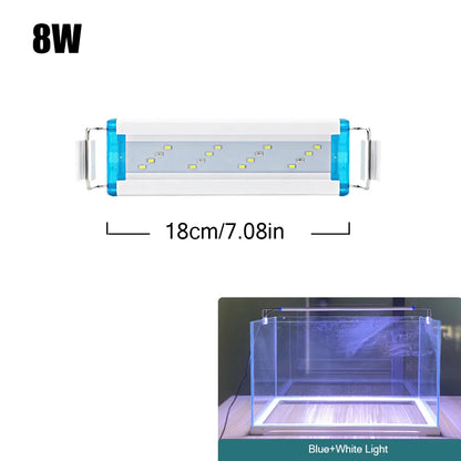 4.81009E+13