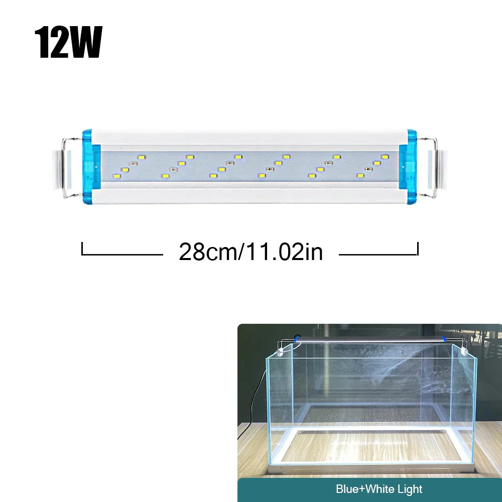 4.81009E+13