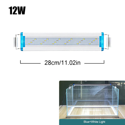 4.81009E+13