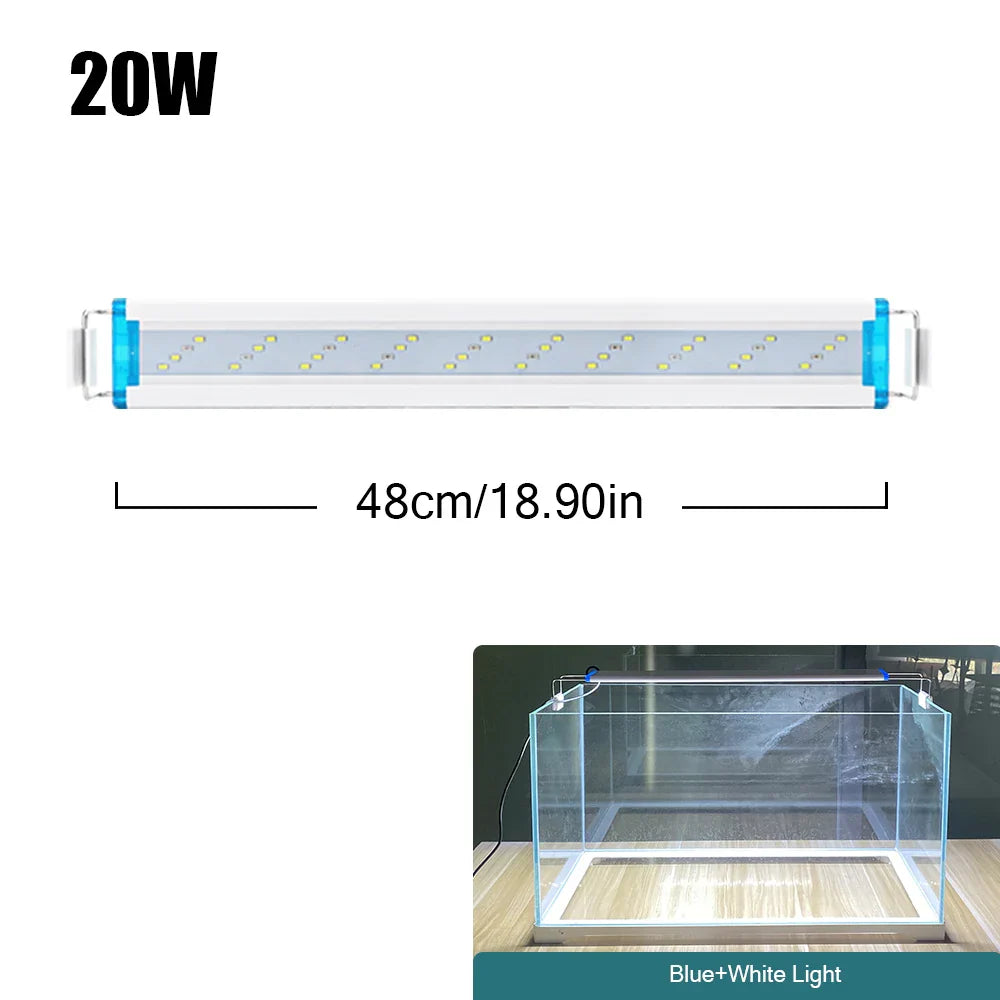 4.81009E+13