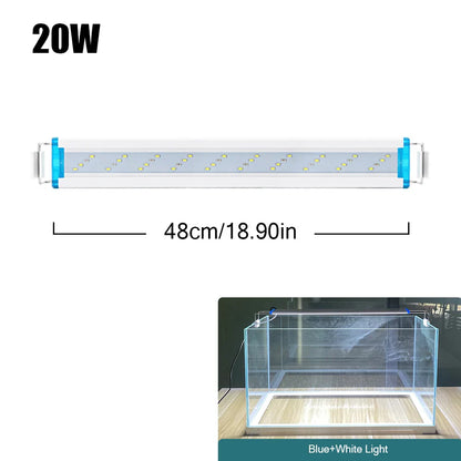 4.81009E+13