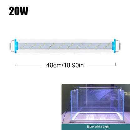 4.81009E+13