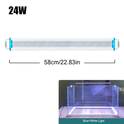 4.81009E+13