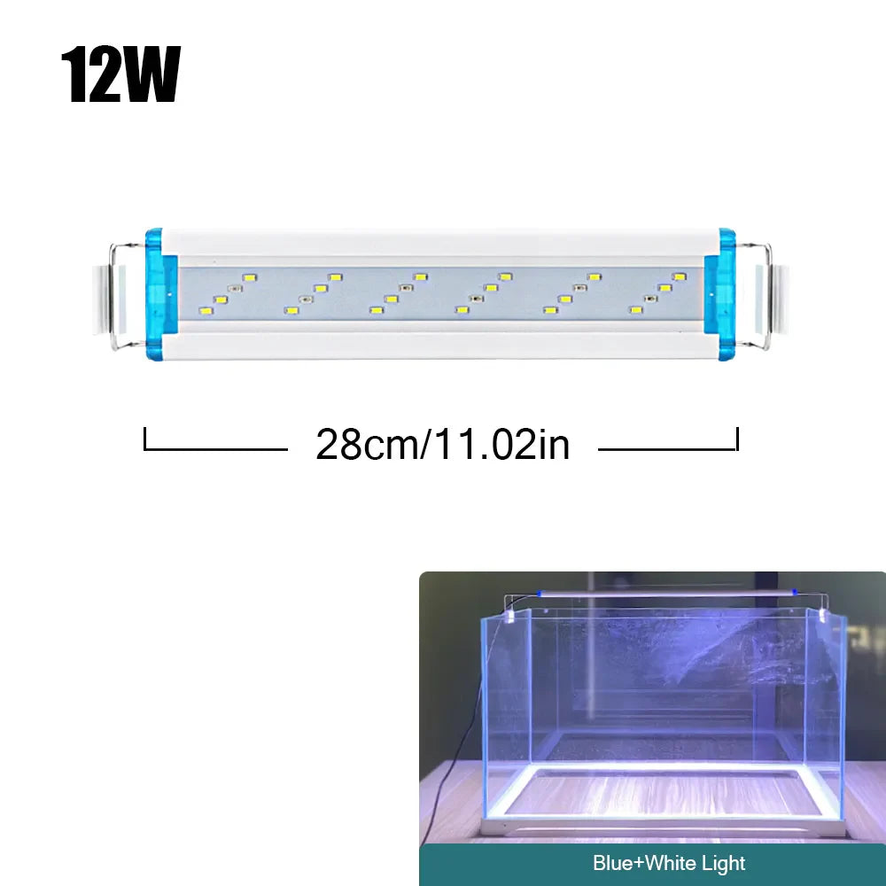 4.81009E+13