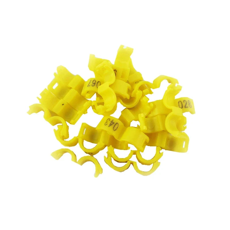 20-Piece Bird Leg Rings - Canary, Pigeon & Small Parrot Identification Rings in Multiple Sizes