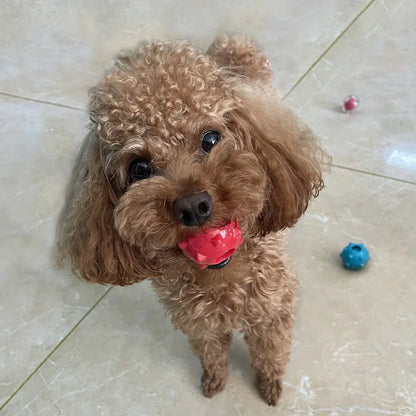 CAITEC Mini Squeaky Dog Ball - Soft Floating Fetch Toy For Small Dogs Tossing And Chasing Play