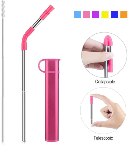 Reusable Collapsible Stainless Steel Straw Kit - Portable Straw with Case, Tip, and Cleaning Brush for Travel, Parties, and Home Use