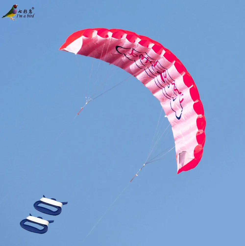 Rainbow Stunt Parafoil Kite - Outdoor Dual Line Power Sports Kite for Beginners & Beach Fun