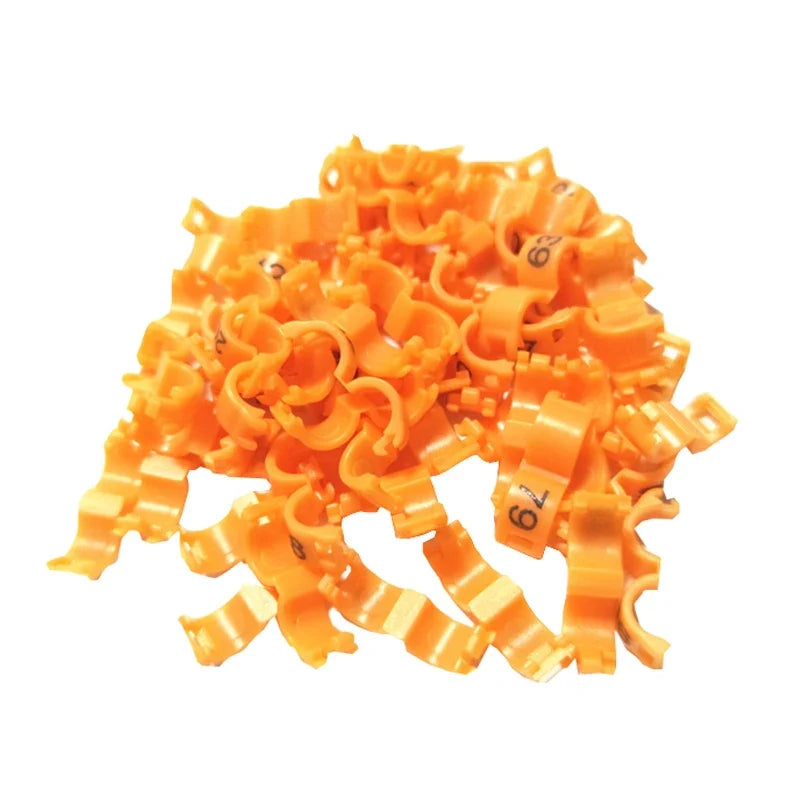 20-Piece Bird Leg Rings - Canary, Pigeon & Small Parrot Identification Rings in Multiple Sizes