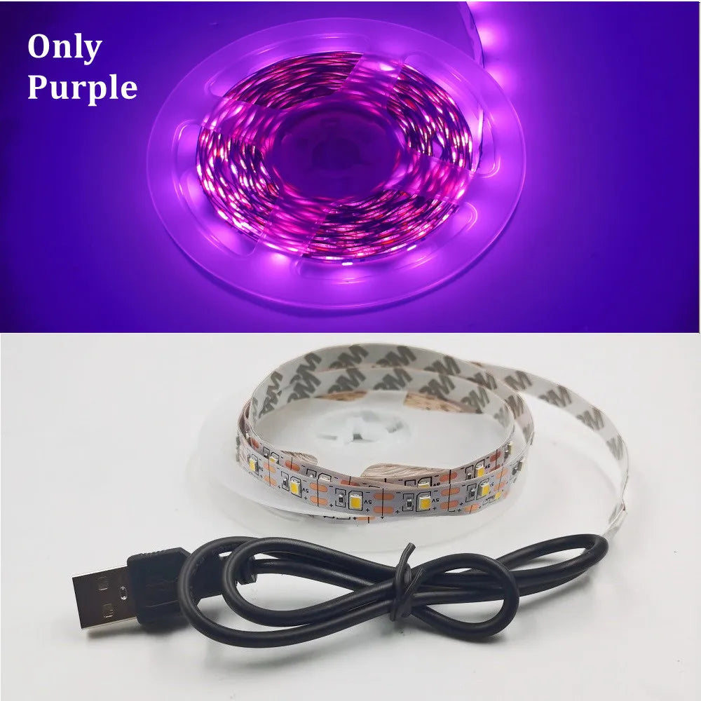 5M USB LED Strip Light - 5V SMD 3528 Waterproof Ribbon Light for Cabinets, Ceilings & Home Decor