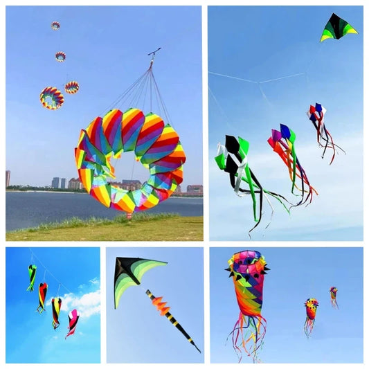 Large Decorative Show Kite - Professional Outdoor Wind Kite with Butterfly Snake Koi Design