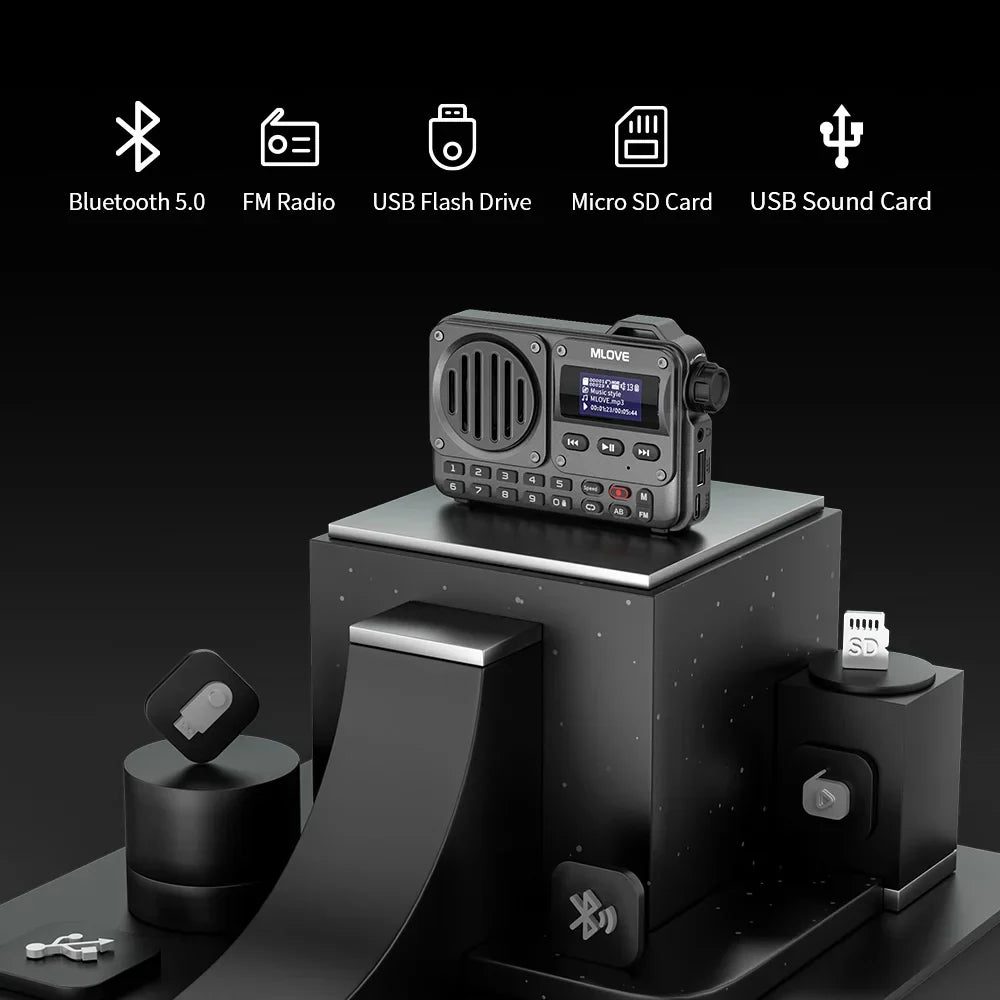 MLOVE BV800 Bluetooth Speaker - Portable Wireless Speaker with FM Radio MP3 Player & LCD Display