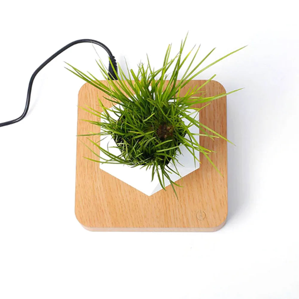 Levitating Air Bonsai Pot – Magnetic Floating Rotating Planter for Home Décor (Without Plants)