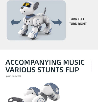 2-in-1 Intelligent Remote Control Robot Dog – Programmable Stunt & Voice Command Toy with Touch & Music for Kids