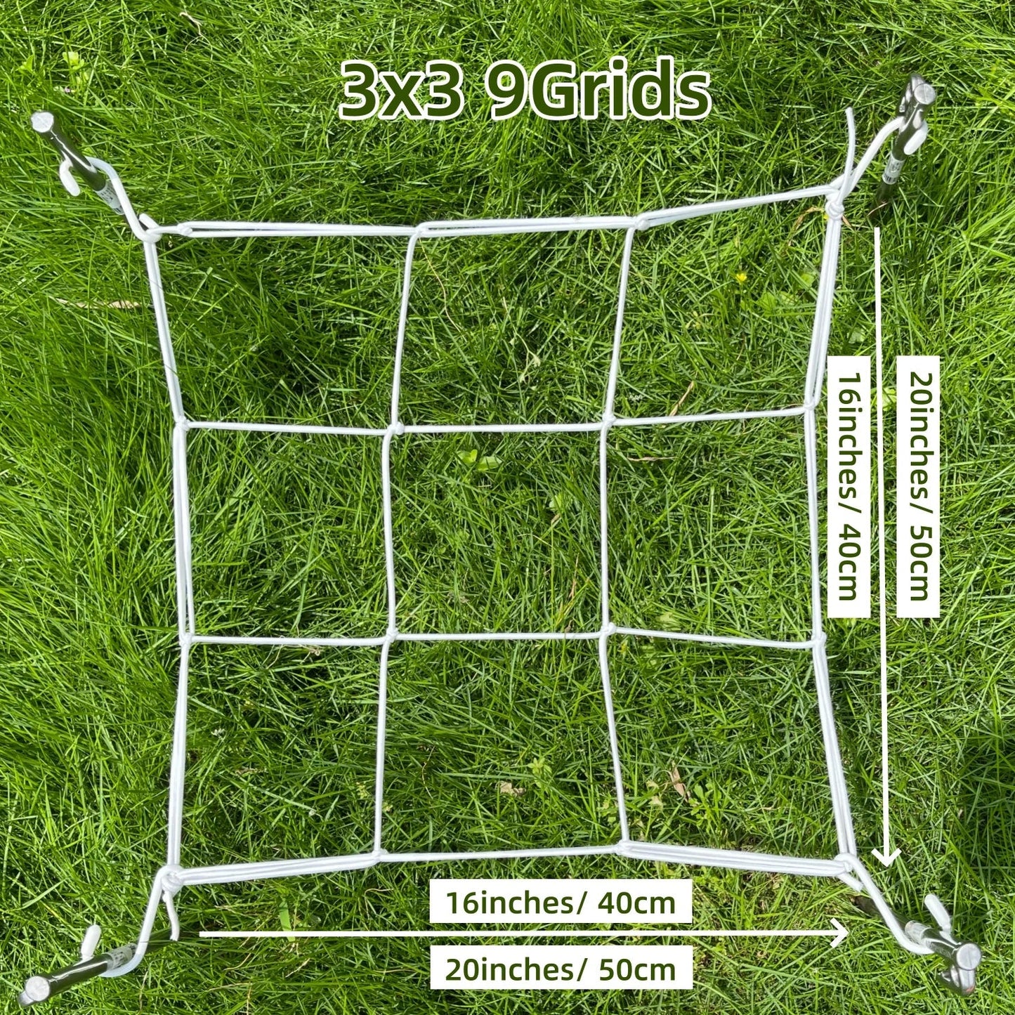 5.03536E+13