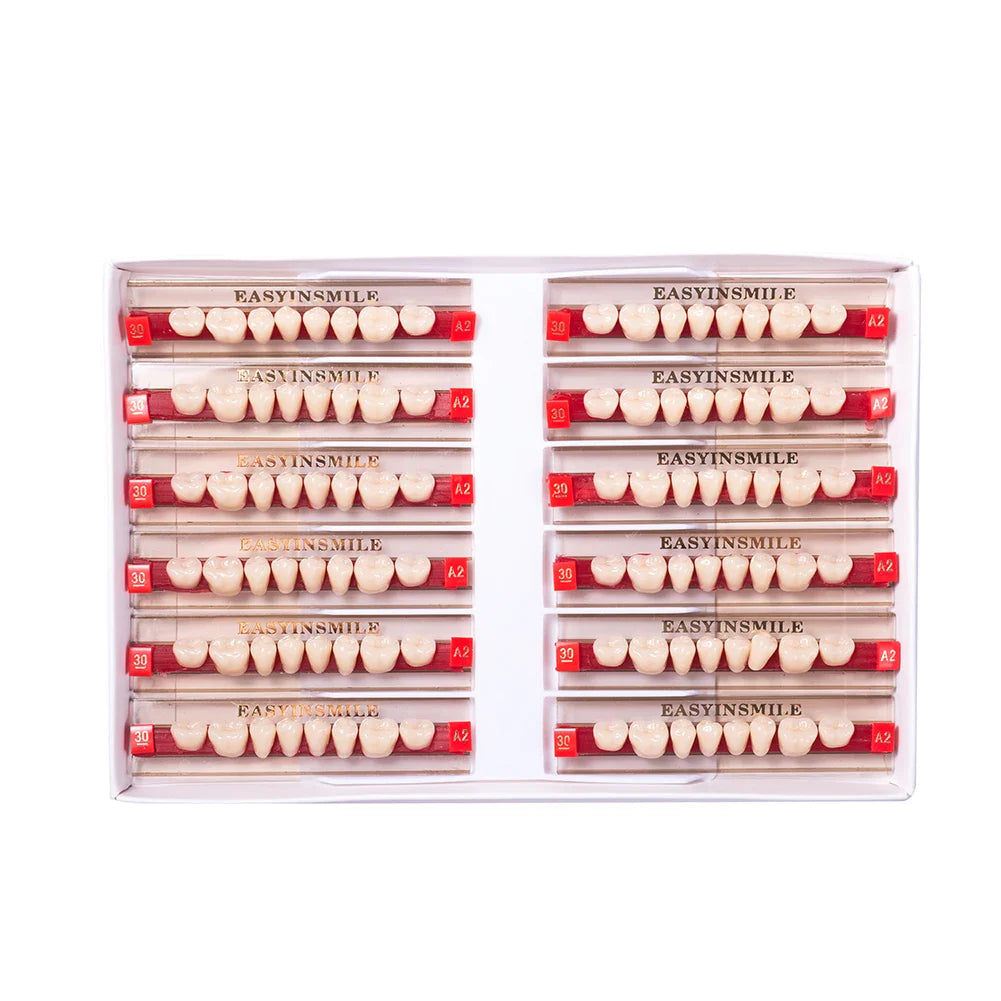 16/12 Set Dental Denture Teeth Model Kit, Upper & Lower Anterior Synthetic Polymer Teeth A2 A3 for Dental Education & Training