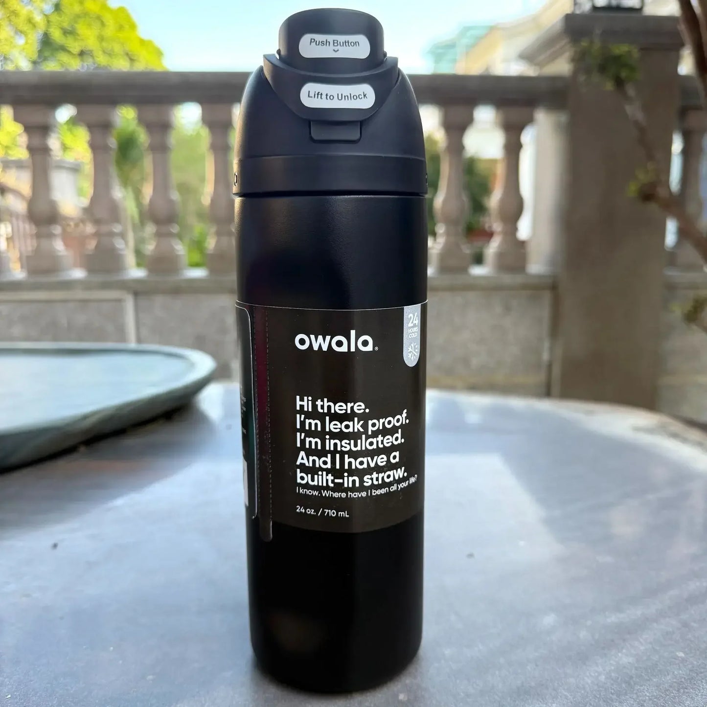 32oz Insulated Stainless Steel Water Bottle with Straw – BPA-Free Sports Bottle, Perfect for Travel