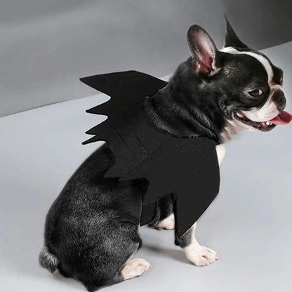 Cute Cat Bat Wings Costume - Black Pet Cosplay Safety Harness for Halloween Party Decoration & Dress Up