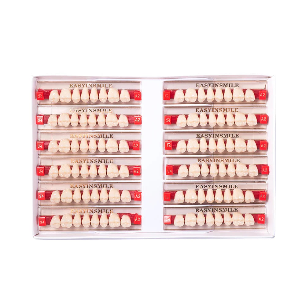 16/12 Set Dental Denture Teeth Model Kit, Upper & Lower Anterior Synthetic Polymer Teeth A2 A3 for Dental Education & Training
