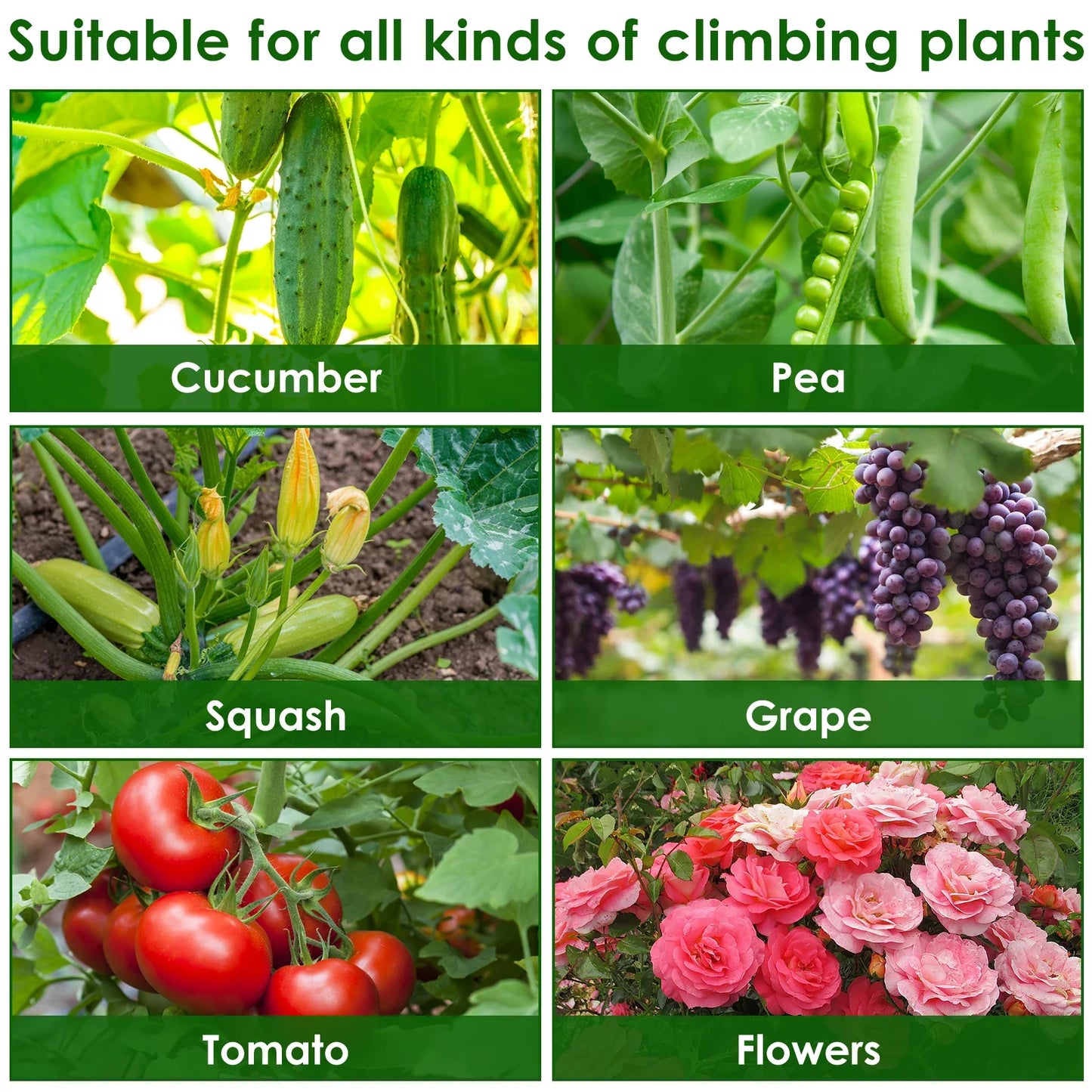 A-Frame Garden Trellis Kit - Rustproof Vegetable Climbing Support with Net for Cucumbers & Outdoor Plants