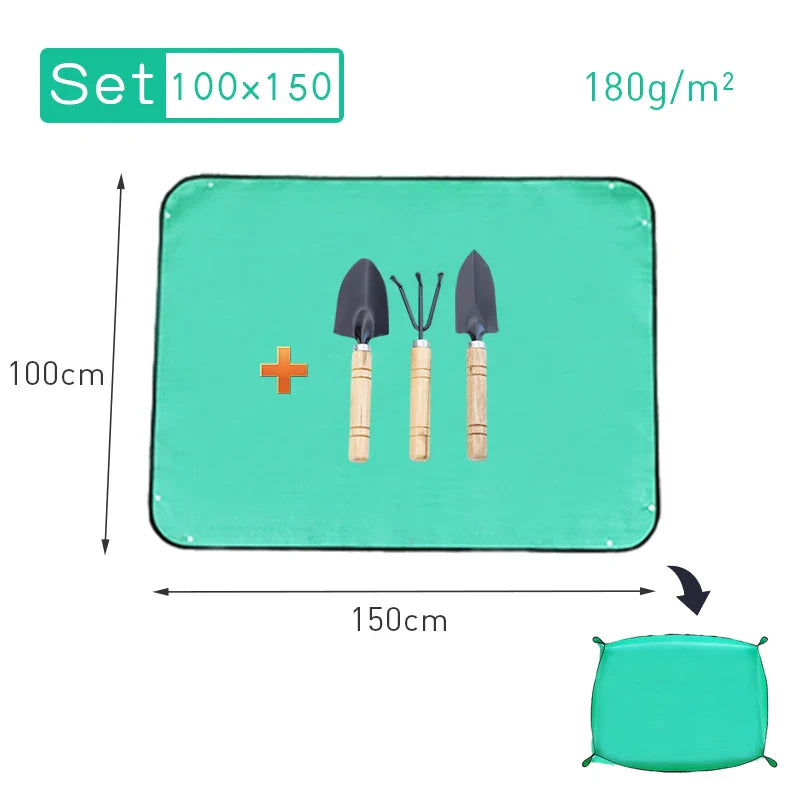5.03536E+13