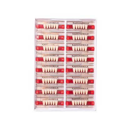 16/12 Set Dental Denture Teeth Model Kit, Upper & Lower Anterior Synthetic Polymer Teeth A2 A3 for Dental Education & Training