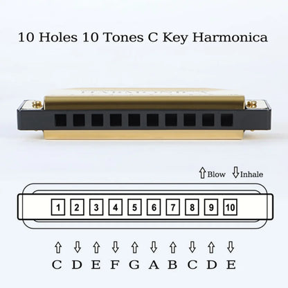 10 Hole Diatonic C Key Harmonica - Blues Harp Mouth Organ Musical Instrument with Storage Case for Beginners & Adults