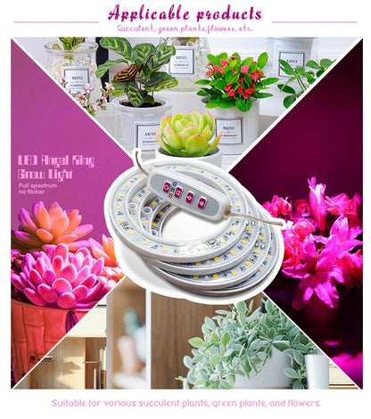 LED Full Spectrum Grow Light — USB 5V Adjustable Height Dimmable Lamp with Timer for Indoor Plants & Herbs