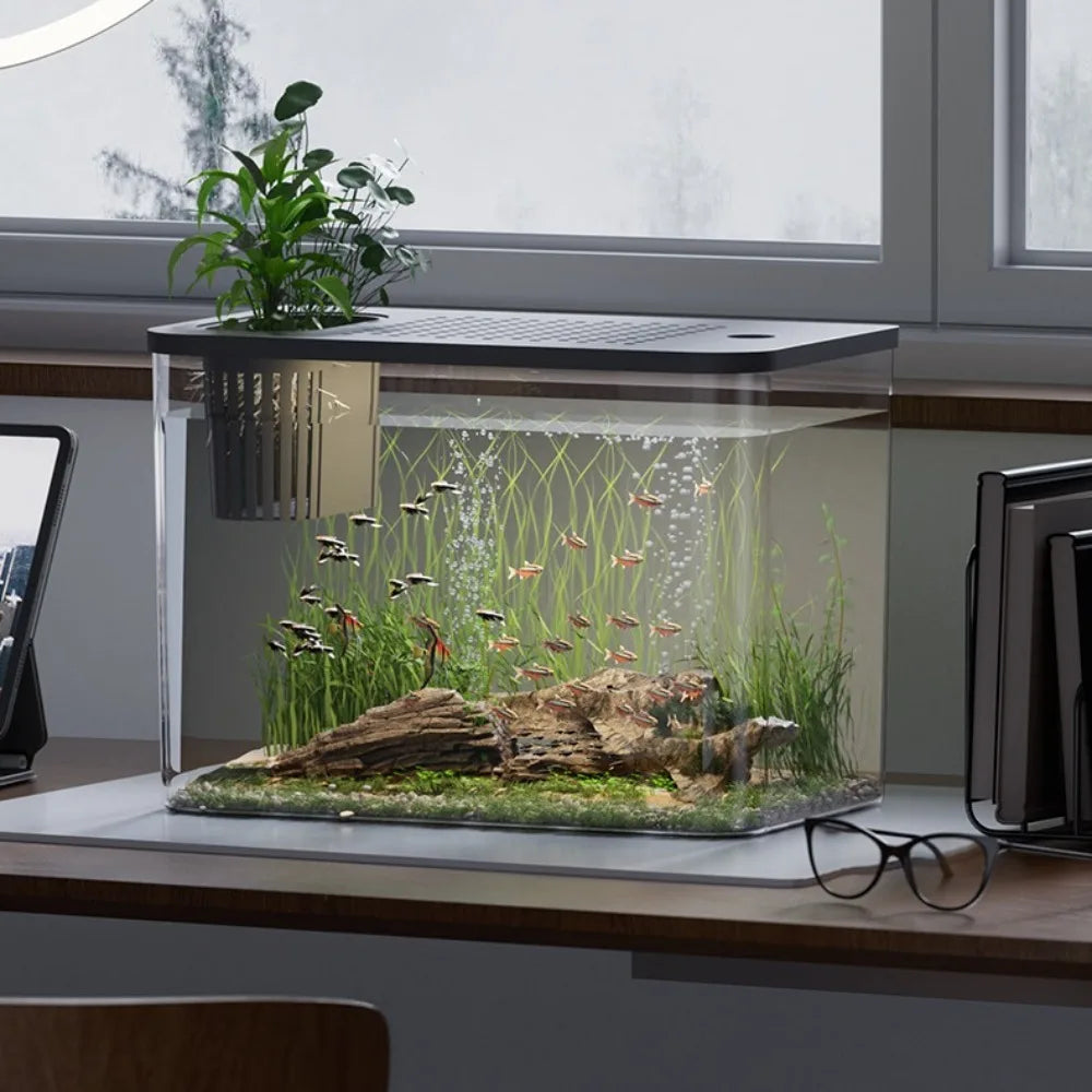 Transparent PET+ABS Fish Tank with Lid – Drop-Resistant Hydroponic Turtle Aquarium for Home