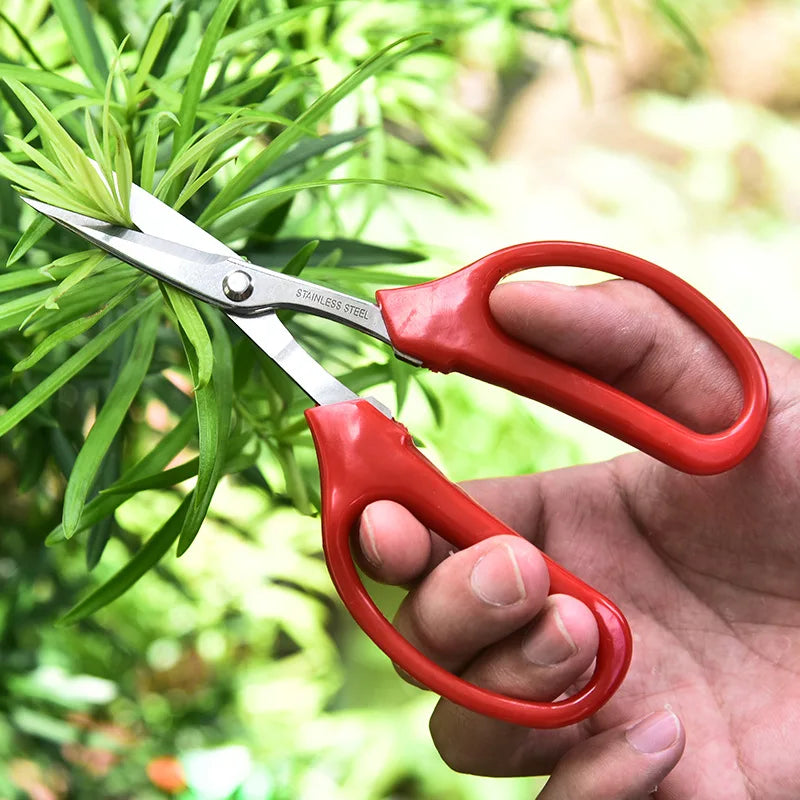 Stainless Steel Fruit Scissors - Red Handle Grape Clippers and Pruning Shears for Bonsai Gardening Tools