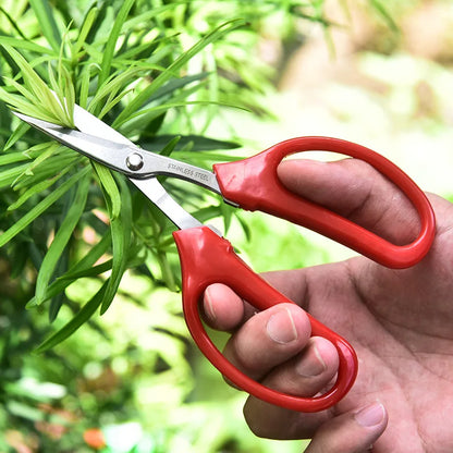 Stainless Steel Fruit Scissors - Red Handle Grape Clippers and Pruning Shears for Bonsai Gardening Tools