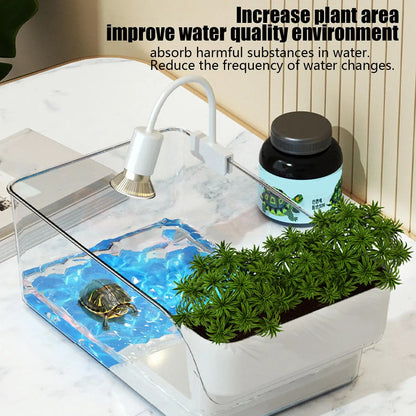 Transparent Turtle Tank Habitat - Reptile Terrarium with Basking Area for Turtles, Tortoises & Hermit Crabs