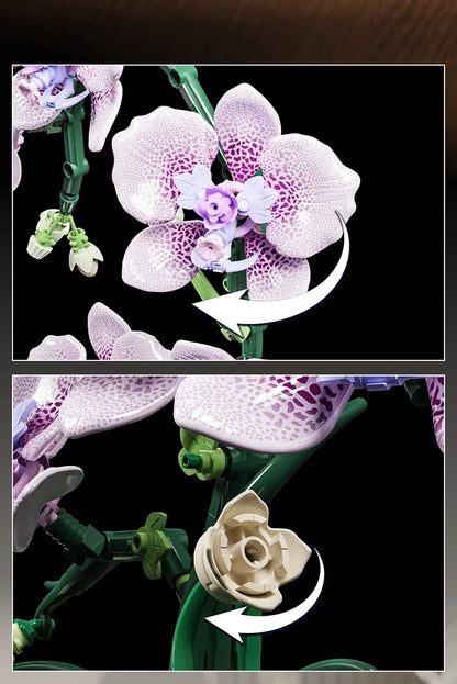619PCS Phalaenopsis Orchid Building Blocks – Potted Flower Model Toy for Kids & Home Decor