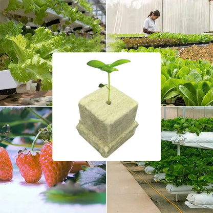 50pcs 25x25x25mm Stonewool Hydroponic Grow Cubes — Rockwool Seedling Blocks for Soilless Plant Cultivation