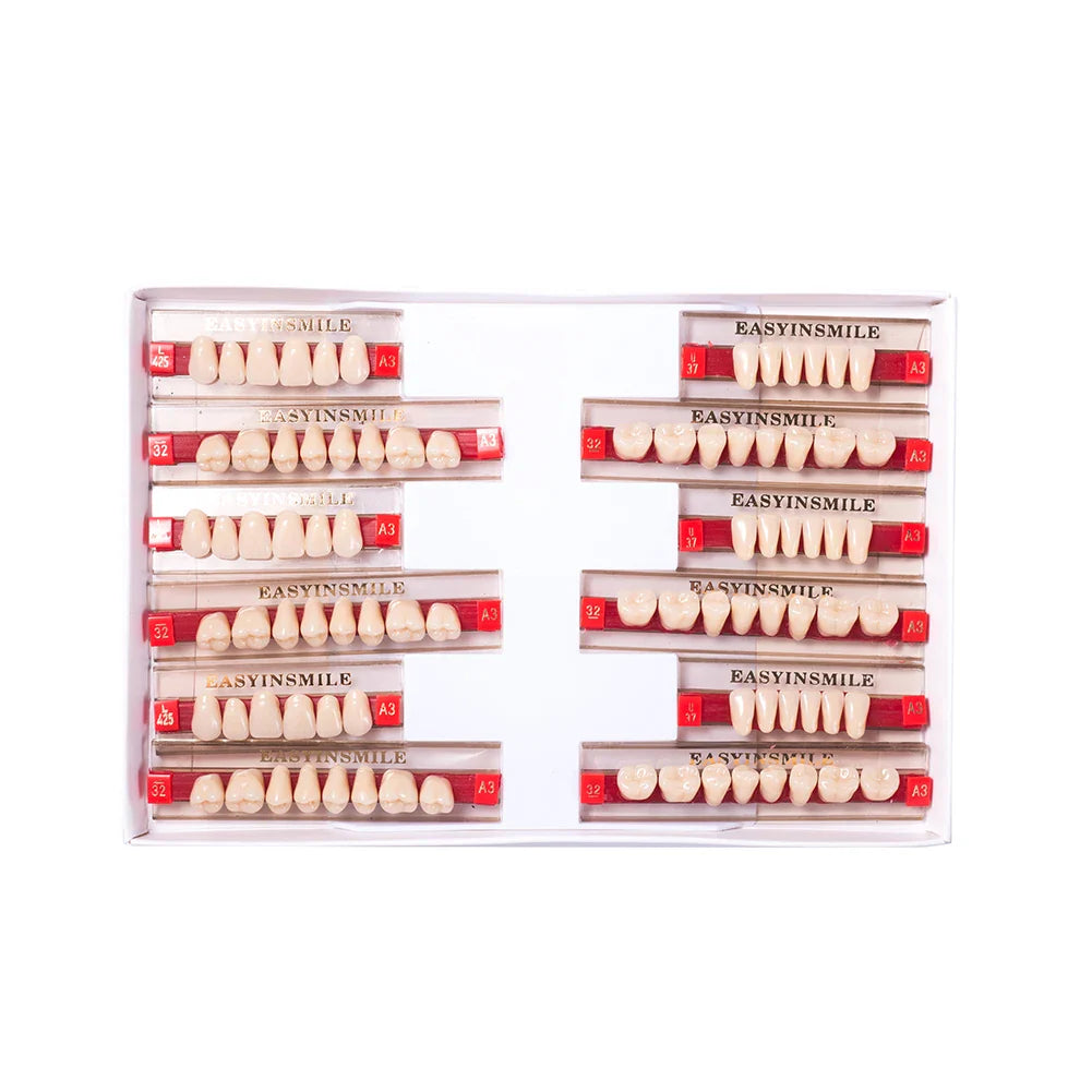 16/12 Set Dental Denture Teeth Model Kit, Upper & Lower Anterior Synthetic Polymer Teeth A2 A3 for Dental Education & Training