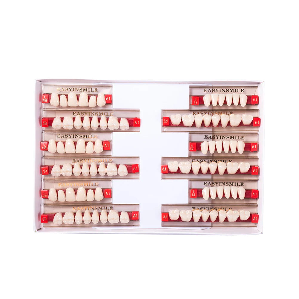 16/12 Set Dental Denture Teeth Model Kit, Upper & Lower Anterior Synthetic Polymer Teeth A2 A3 for Dental Education & Training