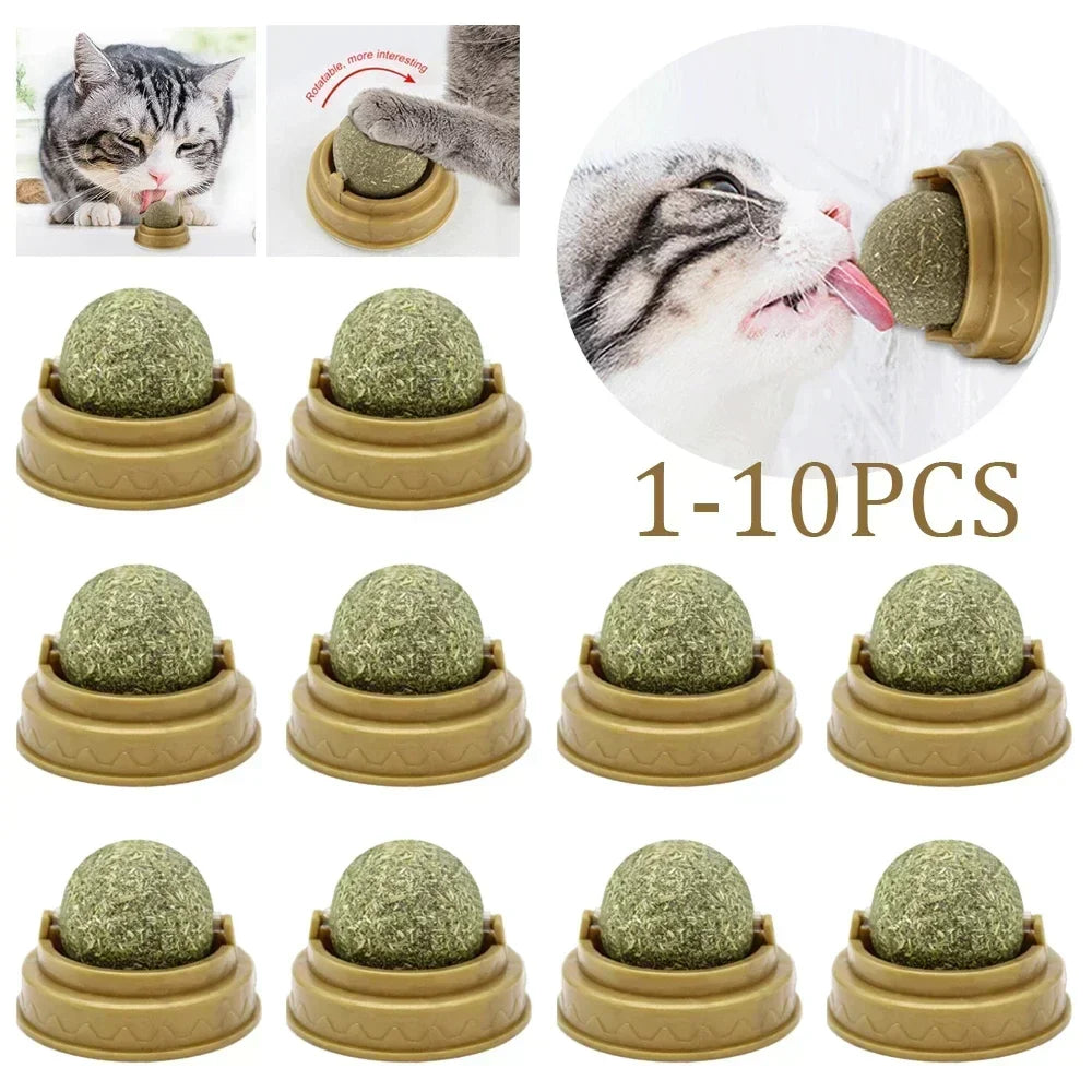 Pet Catnip Toys – Edible Catnip Balls for Healthy Teeth and Stomach, 1-10 Pack, Safe and Fun Chasing Game for Cats
