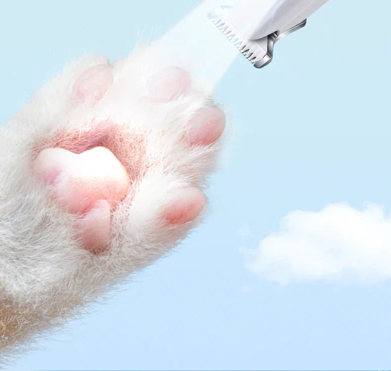 Type-C Dog Paw Trimmer - Waterproof Pet Hair Clippers with LED Light & Display, 18mm Wide Blade Grooming Tool