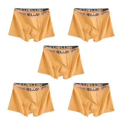 1/5PCS Men's Breathable Underwear – Comfy, Quick-Drying Stretchy Boxer Trunks, Sexy & Trendy Boxer Panties