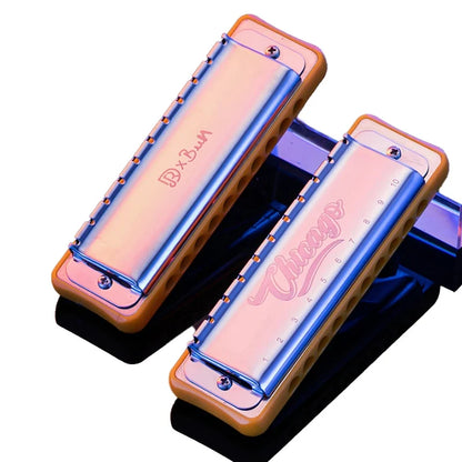 JDR Chicago Blues Harmonica - Professional 10-Hole Diatonic Mouth Organ