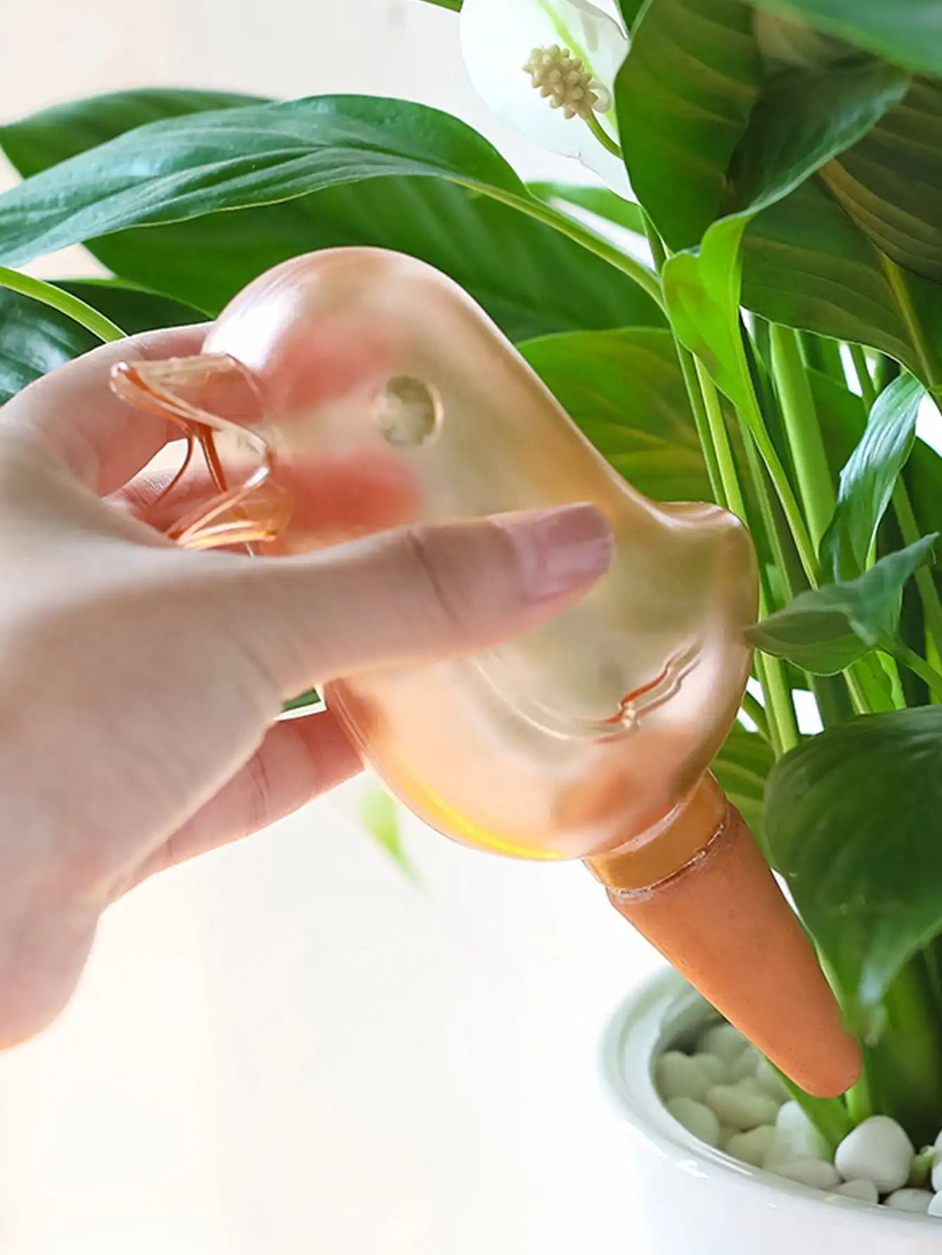 High-Quality Automatic Flower Waterer - Self-Watering Bird-Shaped Hand-Blown Plastic Watering Balloon