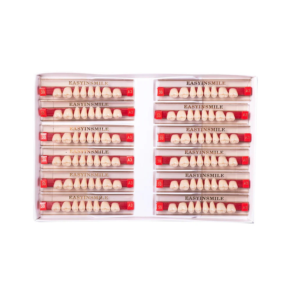 16/12 Set Dental Denture Teeth Model Kit, Upper & Lower Anterior Synthetic Polymer Teeth A2 A3 for Dental Education & Training