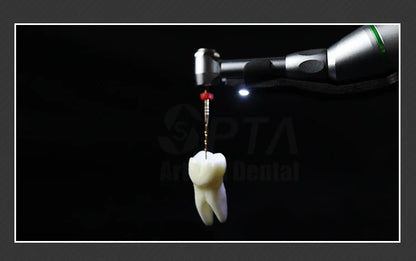 SPTA 16:1 Contra Angle Low Speed Turbine Handpiece – Reciprocating Root Canal File for Endodontic Treatment